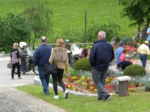 DSCN7184