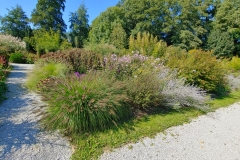 20190921_124539_HDR