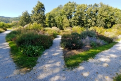 20190921_124613_HDR