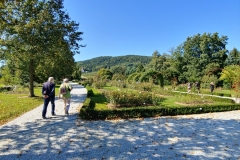 20190921_125045_HDR