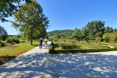 20190921_125048_HDR