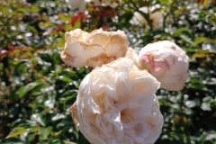 20190921_130502