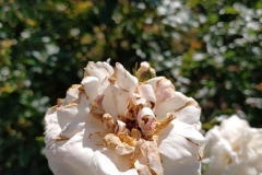 20190921_130505