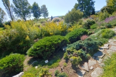 20190921_131826_HDR