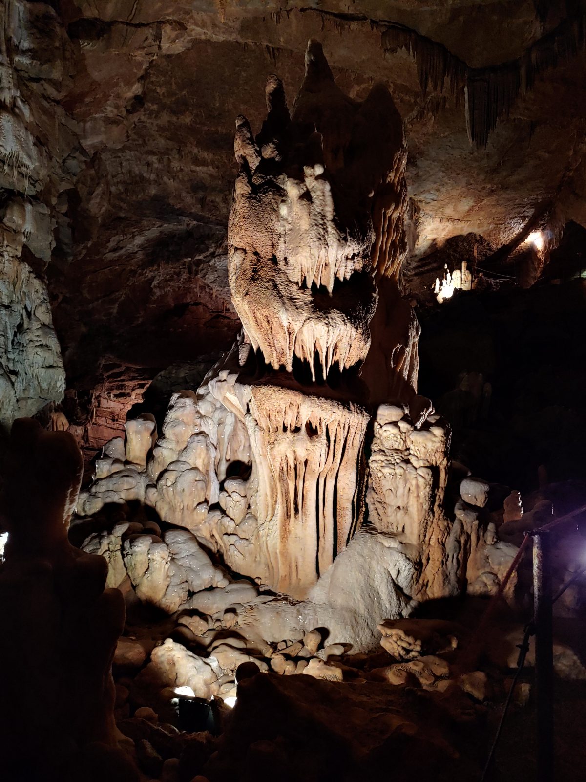 ČUDEŽNI SVET BREZ SONCA